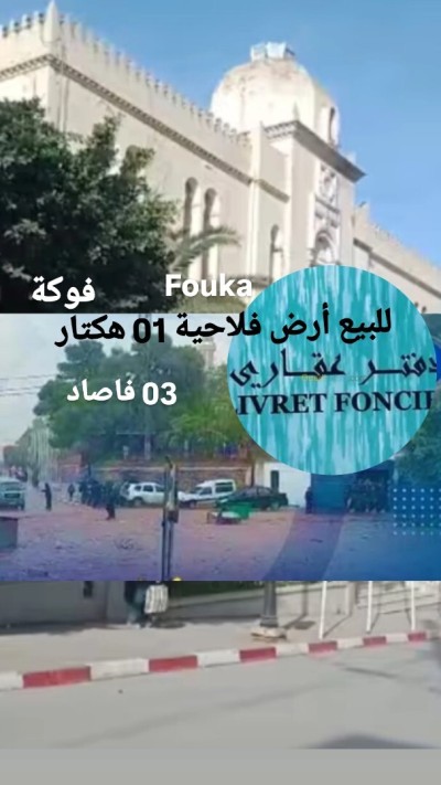 بيع أرض تيبازة فوكة