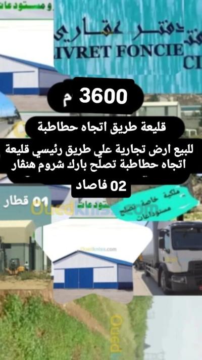 بيع أرض فلاحية 5 غرف تيبازة حطاطبة