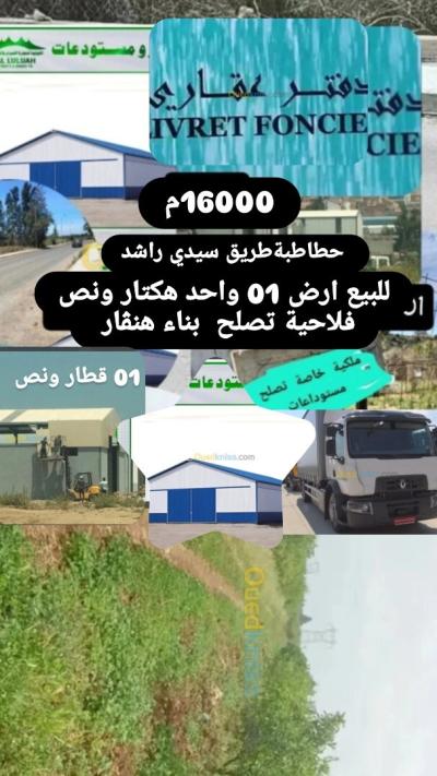 بيع أرض تيبازة حطاطبة