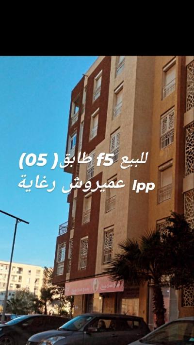 بيع شقة 5 غرف الجزائر الرغاية