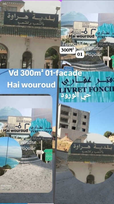 بيع أرض الجزائر هراوة