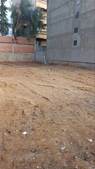 Sell Land Alger Birkhadem