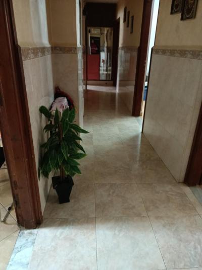 Vente Appartement F4 Alger Cheraga