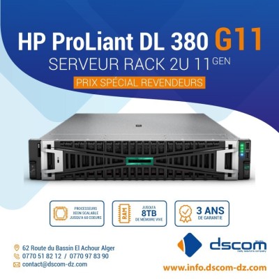 SERVEUR HP PROLIANT DL380 G11 G 11 CPU Intel Xeon Silver 4410Y DL 380