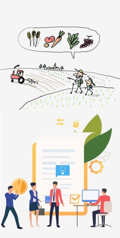 التكوين في الفلاحة