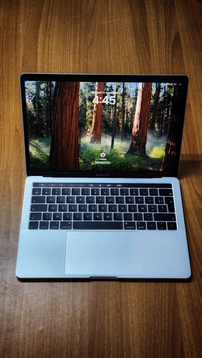 MACBOOK PRO touch bar 2019 i5  8Go 256 SSD Cycle 390 Intel Iris plus Graphics 645 Ecran 13 pouce