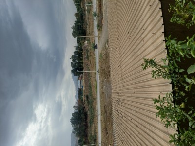 Vente Villa Blida Larbaa