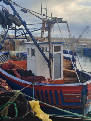 barques-القالة-el-kala-tarf-algerie