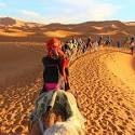 رحلة-منظمة-voyage-organises-taghit-fin-dannee-شراقة-الجزائر