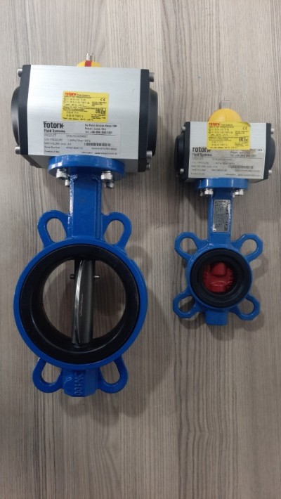 Vanne motorisé électrique et pneumatique 