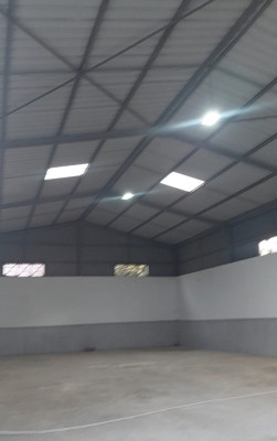 Location Hangar Blida Meftah