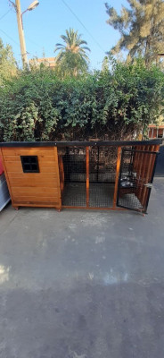 dog-niche-et-cage-pour-chien-maison-بيوت-الكلاب-birkhadem-alger-algeria