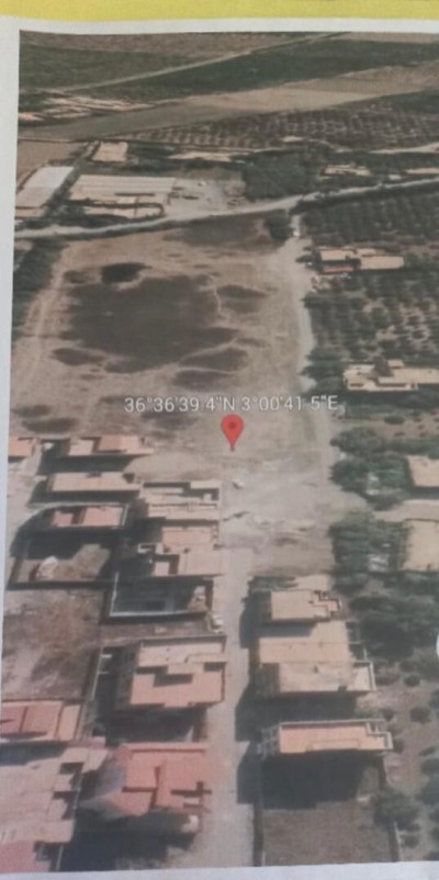 Vente Terrain Alger Ouled chebel