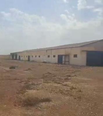 Rent Hangar Oran Tafraoui
