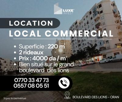 Location Local Oran Bir el djir