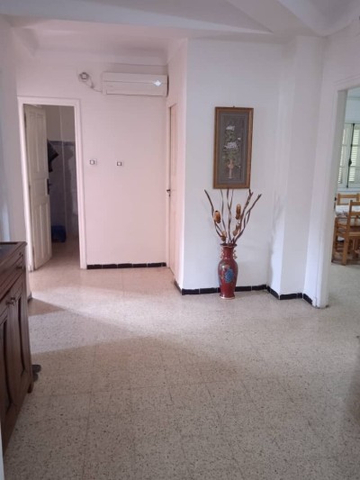 بيع شقة 3 غرف البليدة الصومعة