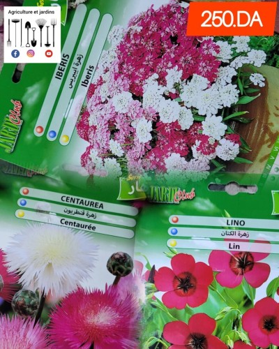 Semences fleurs (partie 2)