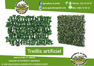 jardinage-treillis-artificiel-hussein-dey-alger-algerie