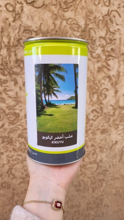 تنظيف-و-بستنة-semence-gazon-kikuyu-حسين-داي-الجزائر