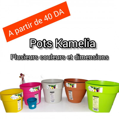 jardinage-pot-en-plastique-kamelia-hussein-dey-alger-algerie