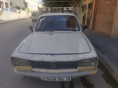 citadine-peugeot-504-1984-algerie