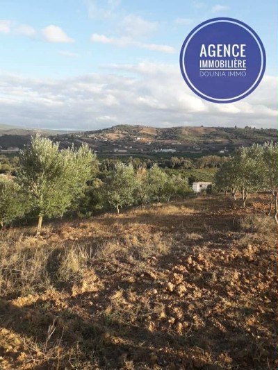 Sell Farmland Skikda Skikda