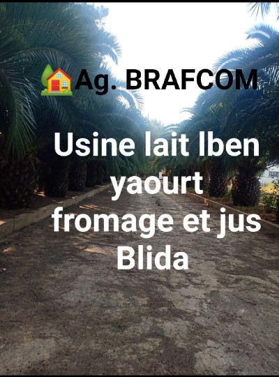 Vente Usine Blida Boufarik