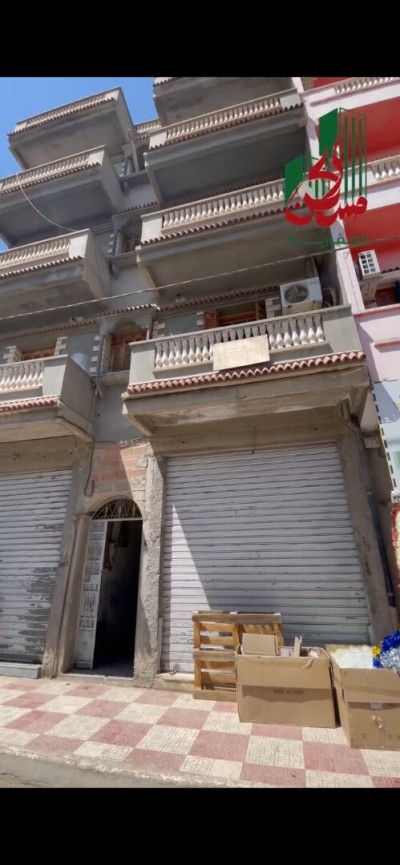 بيع عمارة سطيف العلمة