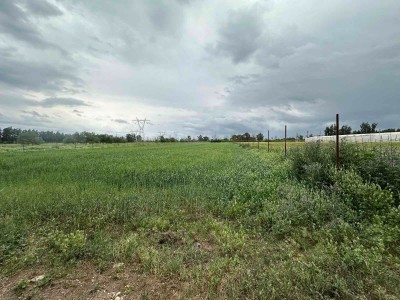 Vente Terrain Agricole Tipaza Kolea