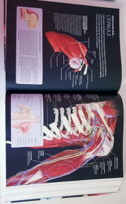 autre-le-larousse-medical-souk-ahras-algerie