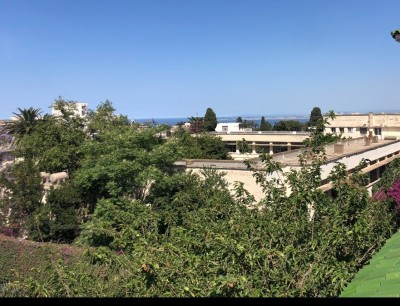 Sell Villa Alger El biar