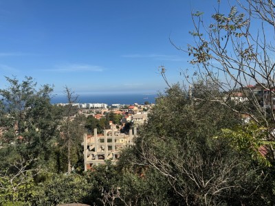 Sell Villa Alger El biar