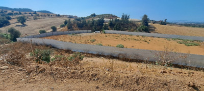 terrain-location-boumerdes-khemis-el-khechna-algerie