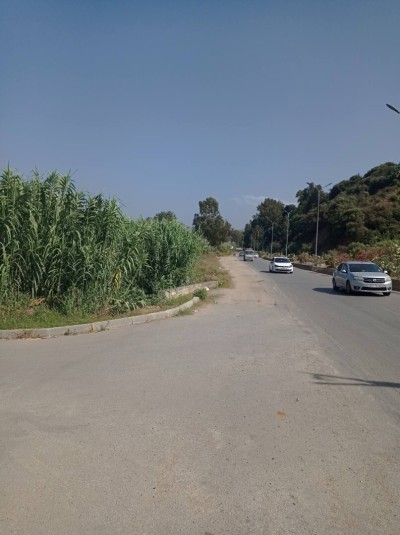 كراء محل بومرداس بومرداس