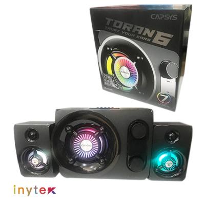 Haut-parleur CAPSYS TORAN 6