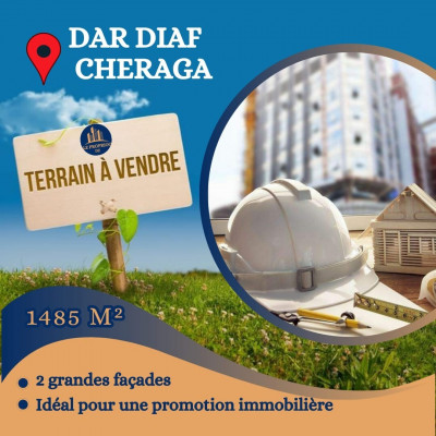 terrain-vente-alger-cheraga-algerie