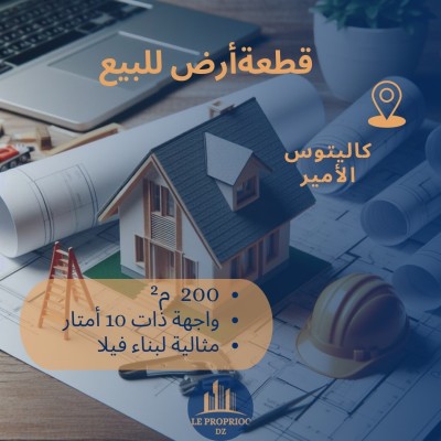 Sell Land Alger Les eucalyptus