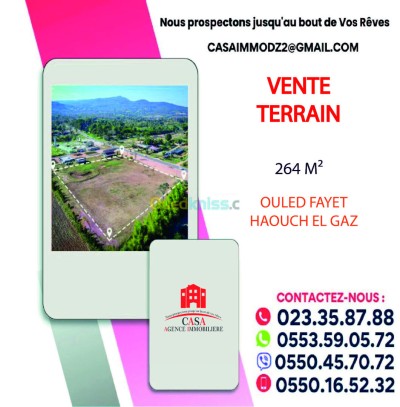 Sell Land Alger Ouled fayet