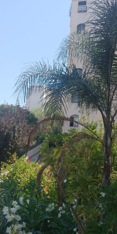 Sell Apartment F2 Alger Kouba