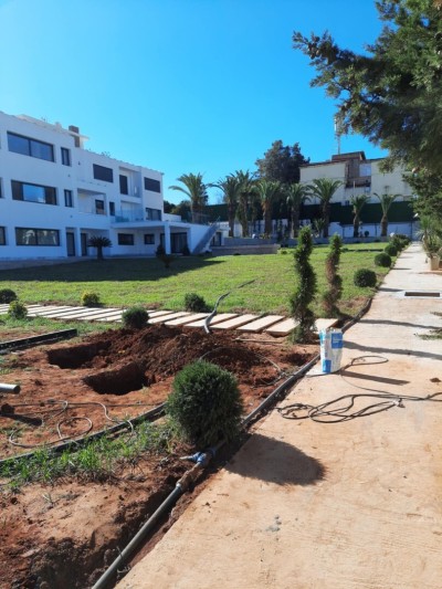 Espace vert et Gazon Naturel 