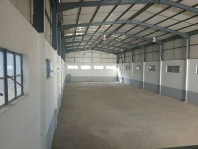 Rent Hangar Alger Cheraga