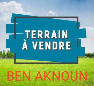 terrain-vente-alger-ben-aknoun-algerie