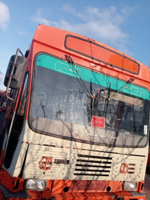 bus-sonacom-70l6-1998-hammamet-alger-algerie