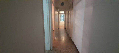 appartement-vente-f3-alger-centre-algerie