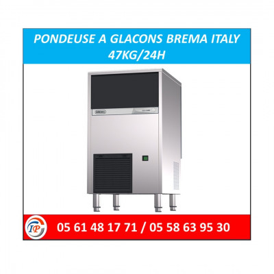 PONDEUSE A GLACONS BREMA ITALY  47KG/24H 
