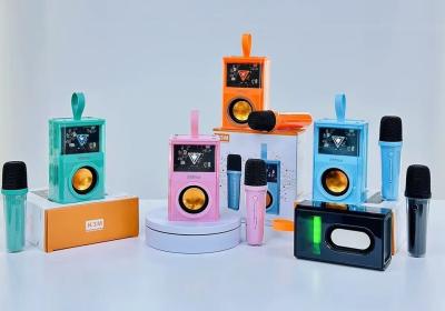 K3M haut-parleur avec microphone portable sans fil