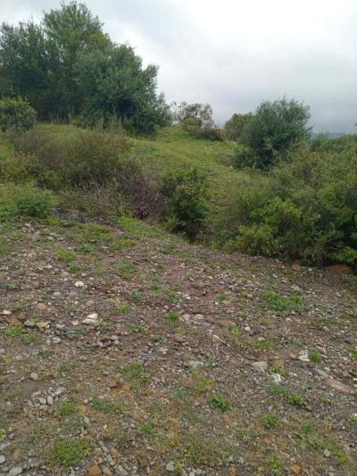 Vente Terrain Boumerdès Tidjelabine