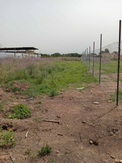 Vente Terrain Boumerdès Boudouaou