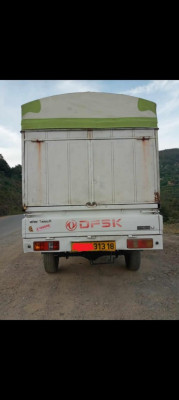 camion-hamer-dfsk-ريدال-قونثونال-2013-jijel-algerie