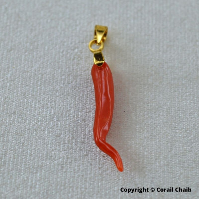 colliers-pendentifls-corne-en-corail-rouge-el-kala-tarf-algerie